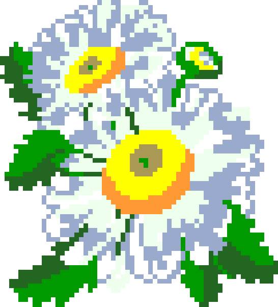 CrossMe Color 10 - 484 Solution