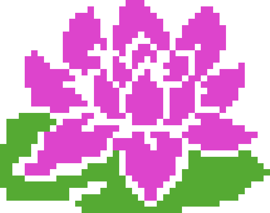 CrossMe Color 8 - 62 Solution