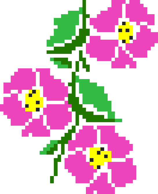 CrossMe Color 9 - 477 Solution