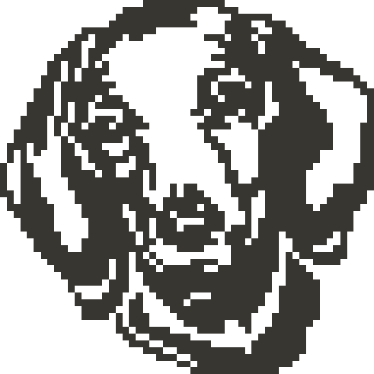 CrossMe 10 - 623 Solution