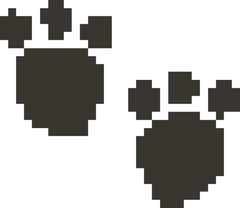 CrossMe 4 - 262 Solution